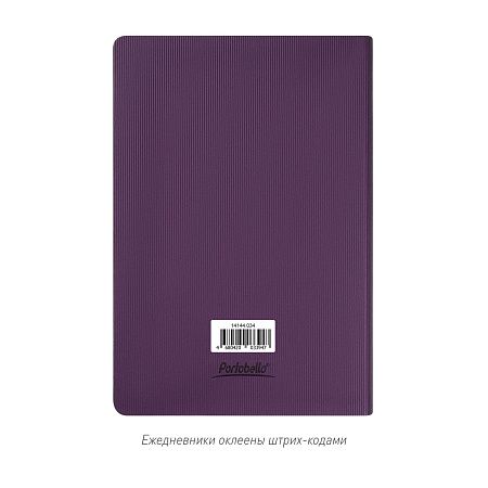 Ежедневник Рейн (Rain) недатированный, фиолетовый