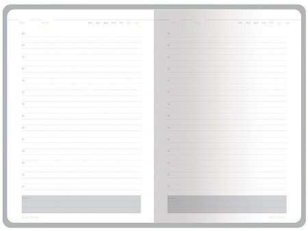 Ежедневник недатированный А5 «Mercury»