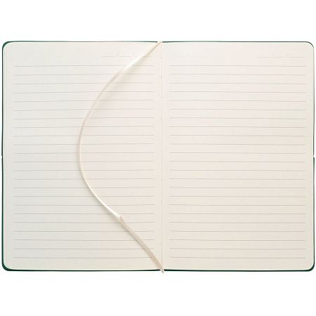 Ежедневник Kuka, недатированный, зеленый