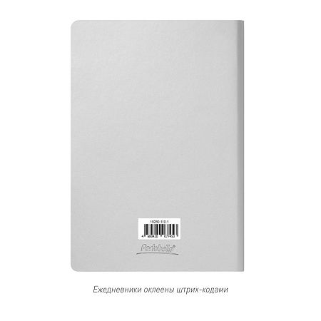 Ежедневник Спарк (Spark) недатированный, серебряный (без упаковки, без стикера)