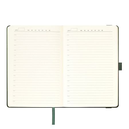 Ежедневник Альфа (Alpha) недатированный, зеленый/оливковый