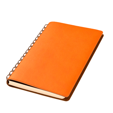 Ежедневник Виста (Vista) недатированный, оранжевый/коричневый
