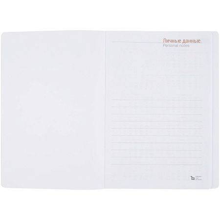 Ежедневник Basis, датированный, красный