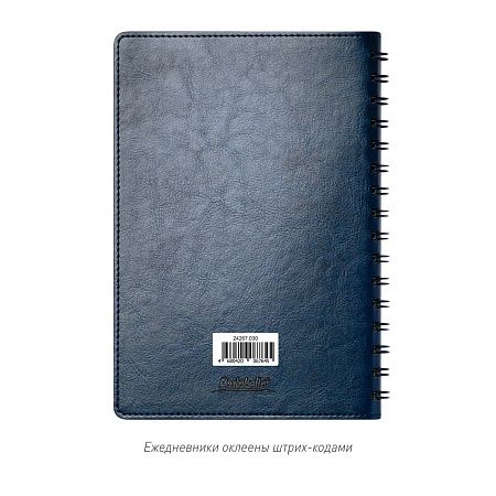 Ежедневник Виста Нео (Vista Neo) недатированный, ярко-синий