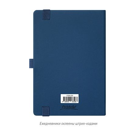 Ежедневник Альфа (Alpha) недатированный, синий/голубой