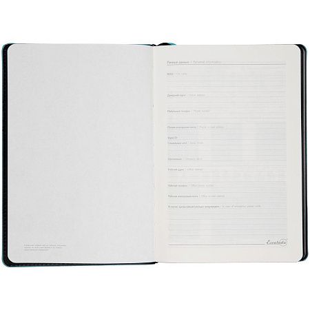 Ежедневник Alanis, недатированный, черный с голубым