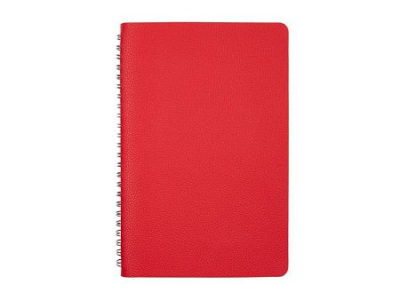 Ежедневник недатированный А5 «Alba»