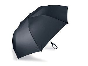 Зонт складной Mini Hook, цвет: черный
