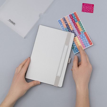 Ежедневник Альфа (Alpha) недатированный, серебро/серый