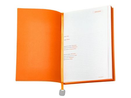 Ежедневник недатированный А5 «Mercury»